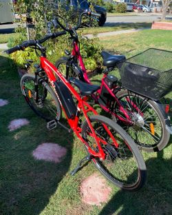 Electric bikes -Two Adult
