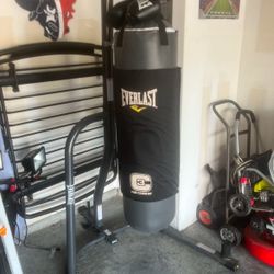 Punching Bag