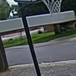 Basketball Rim & Back Board /Rim