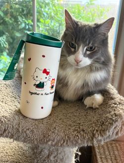 Limited Edition Starbucks Hello Kitty Travel Tumbler NEW