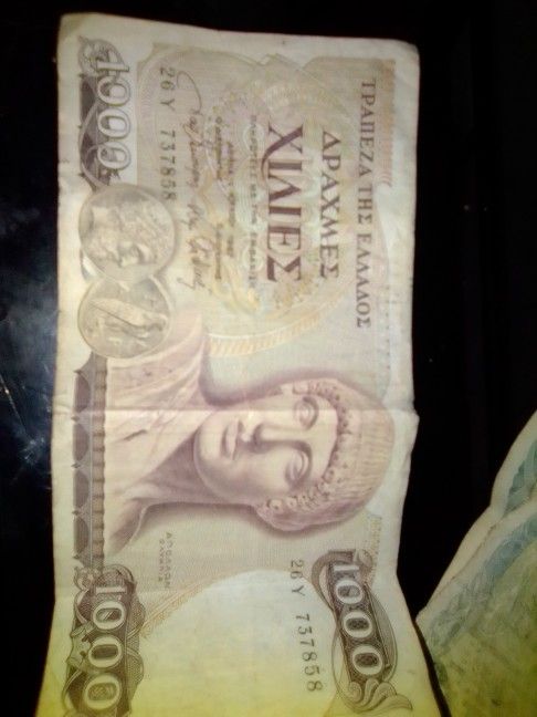 Egyptian Tender