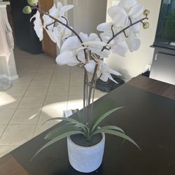 Faux White Orchid In Pot