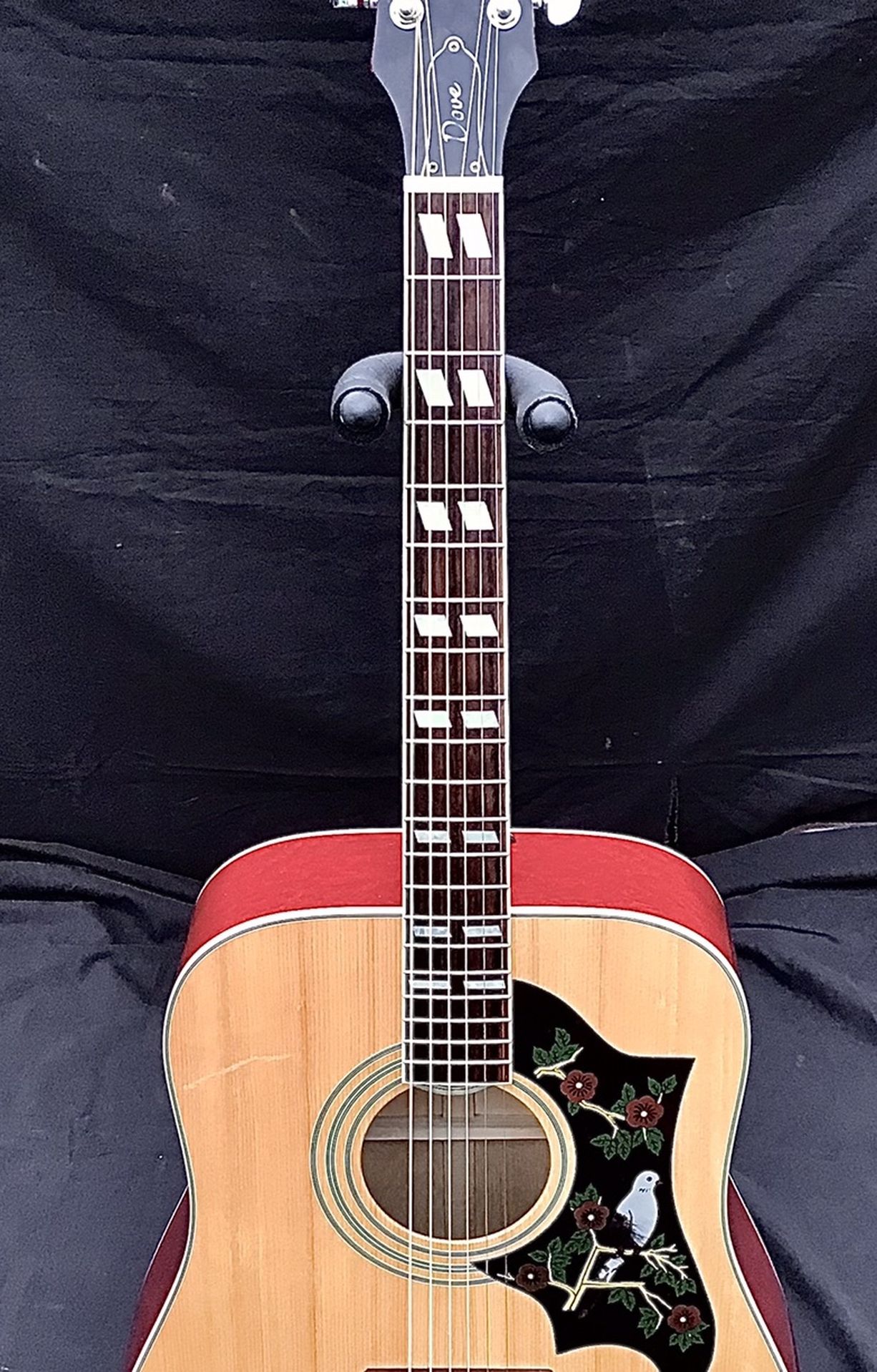 Epiphone Dove by Gibson Acoustic Guitar