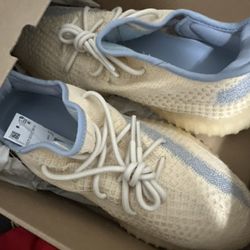 Yeezys Size 10