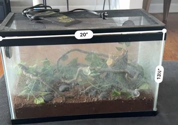 Reptile tank with heating pad and lamp