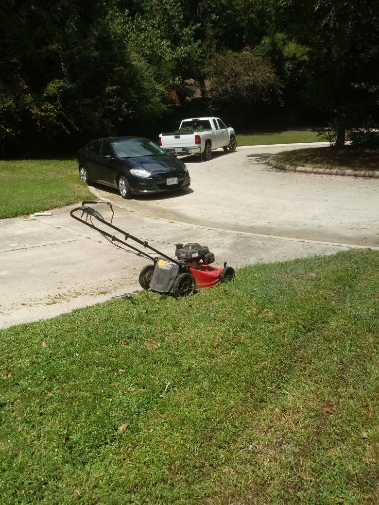 Lanscaping, drains, sprinklers sistem , trim trees install playsets, mulch and sidewalks