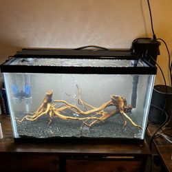 Fish Tank 10g 