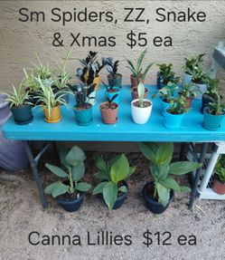 Plant Sale