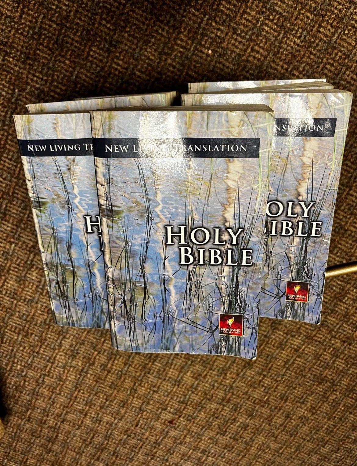 Bibles 17