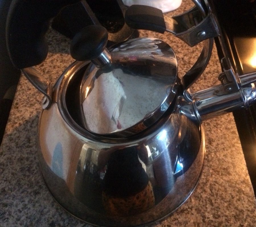 Teapot Kettle Stainless Steel IL Mulino NY