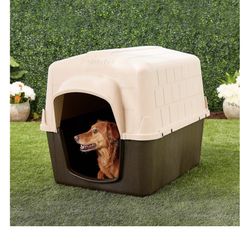Dog House
