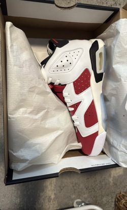 Jordan Retro 6 “Carmine”