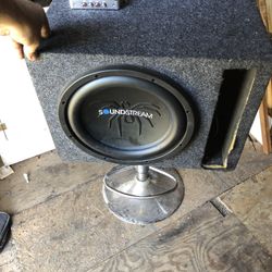 12” Subwoofer 