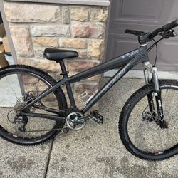 Specialized P2 