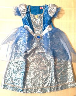 Cinderella Costume