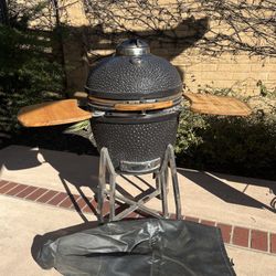 Vision Grill / Smoker