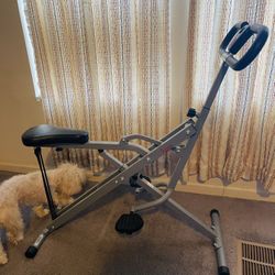 Sunny Health & Fitness Upright Row-N-Ride™ Exerciser in Silver