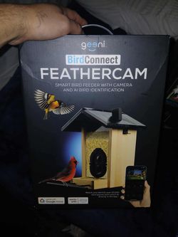Bird Feeder With Camera