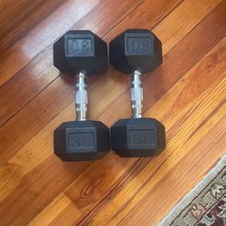 30 Lbs Weights 