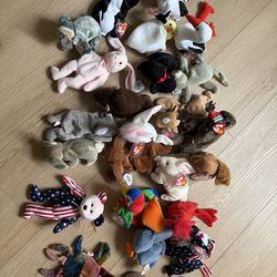 Beanie Babies Lot (26)