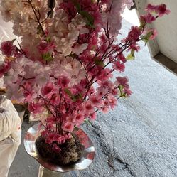 two vases with flowers pink and light pink  cherry blosoon
