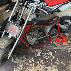Doodle Bug Scooter