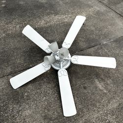 Indoor ceiling fan