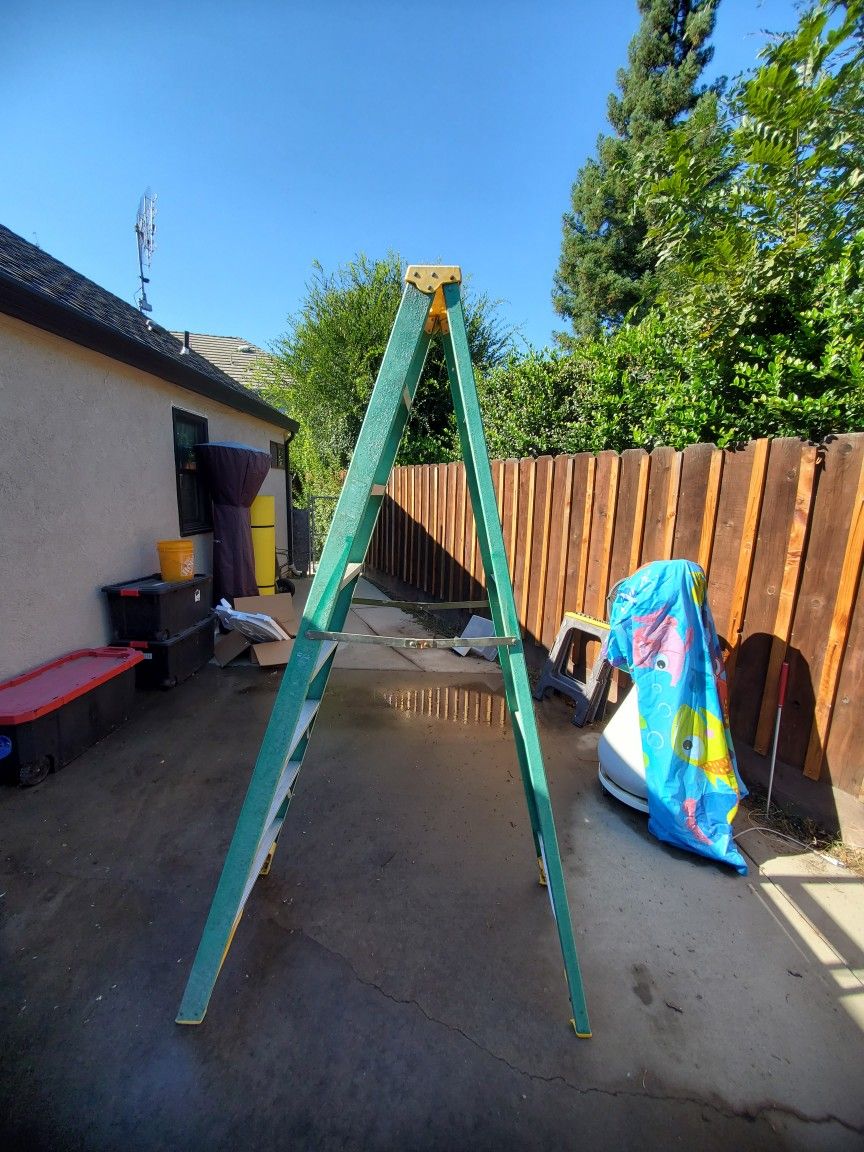 Werner ladder 8 ft with delivery