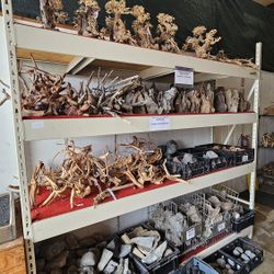Aquarium Driftwood And Stones