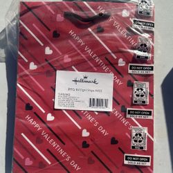 Valentines Day Gift Bags