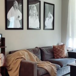 Gray Velvet Couch With Gold legs