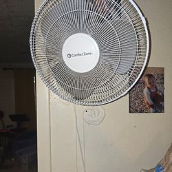 Wall fan