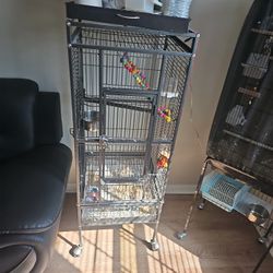 Bird 🐦 Cage 