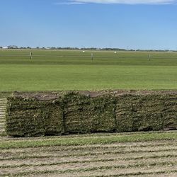 Grass Sod 