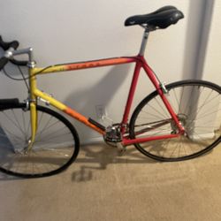  Schwinn Bike 
