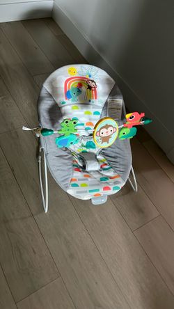 Baby Bouncer