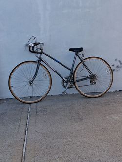 Schwinn world sport bike