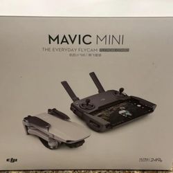 DJI Mavic Mini The Everyday FlyCam