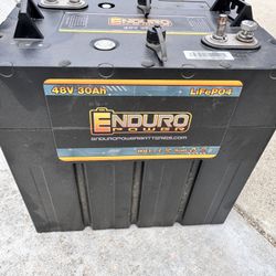 48 Volt Batteries