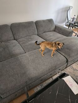 Couch for sale