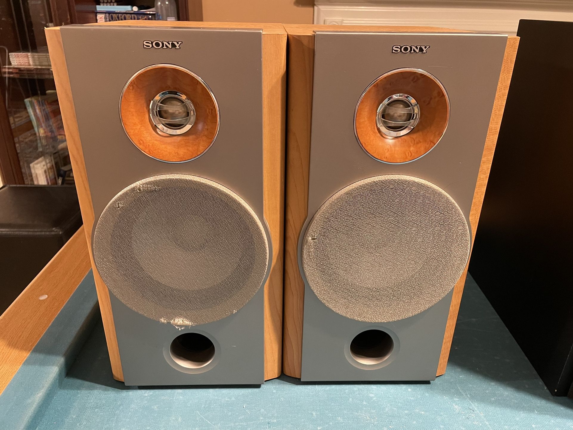 Sony SS-NX1 Speaker System