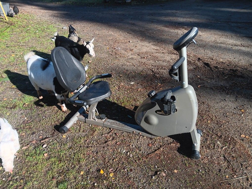 exercise bike 🤠👍