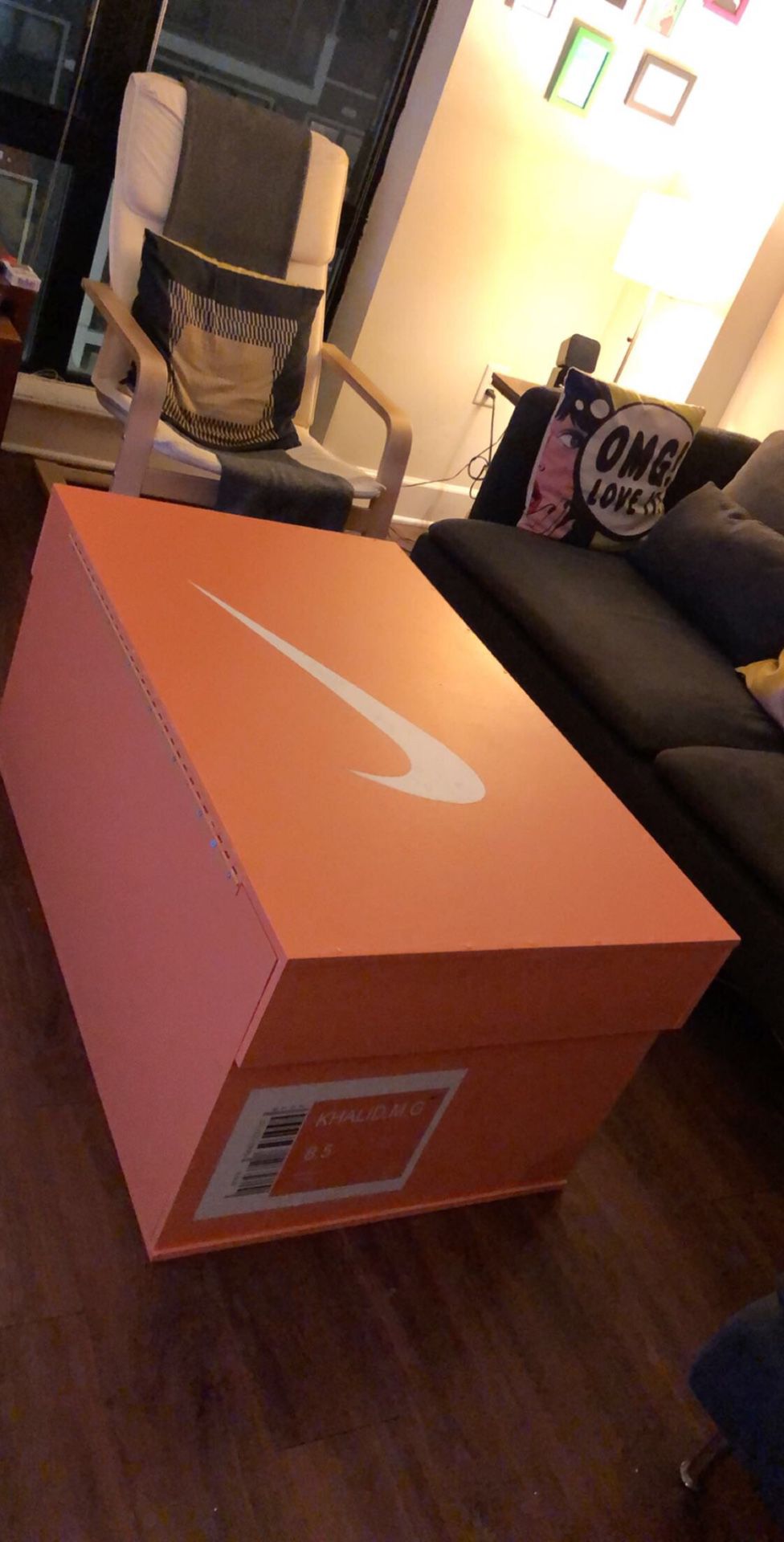 Big Nike Shoe Box