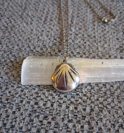Vintage Seashell Necklace