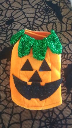 Halloween doggie costume New