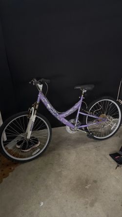 2 bikes  flat tires