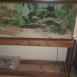 Reptile Or Fish Tank 50"