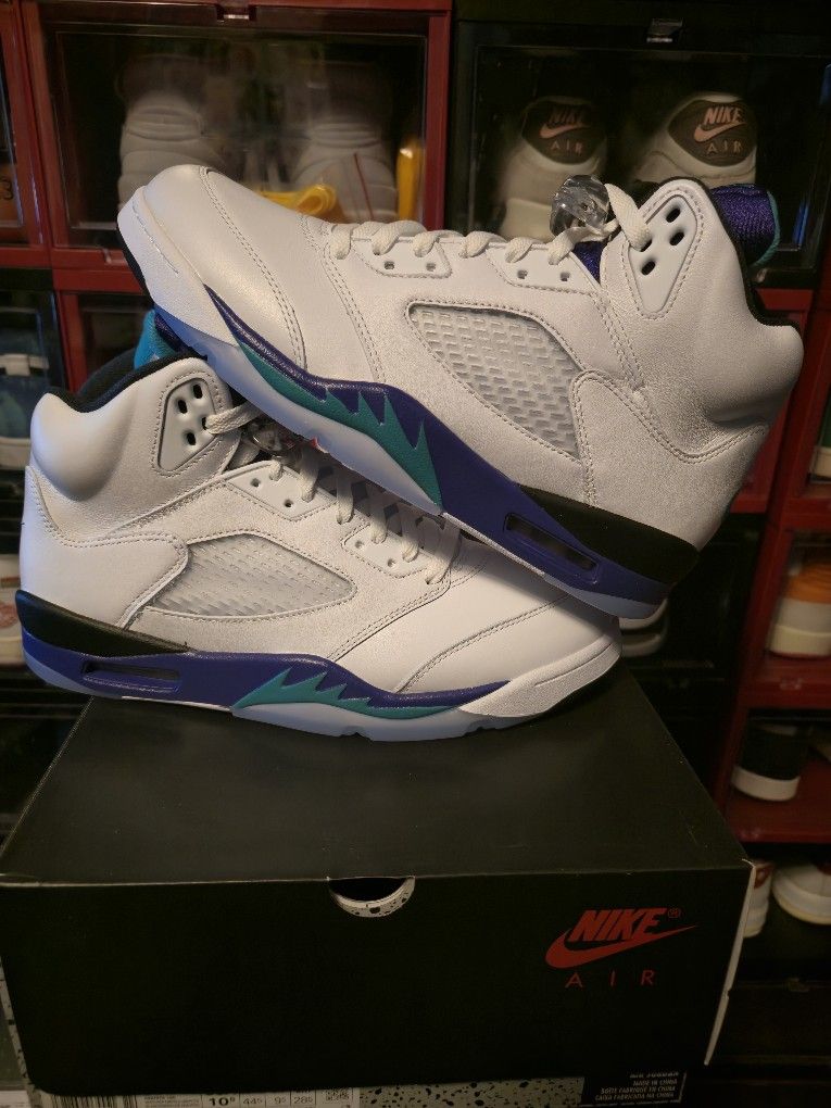 Jordan 5 Retro Grape (2025) Sz 10.5 DS