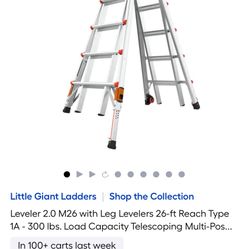 Gorilla ladder for sale $200