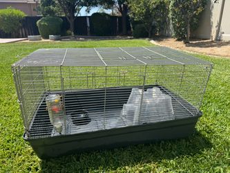animal cage
